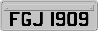FGJ1909