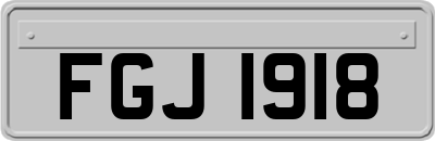 FGJ1918