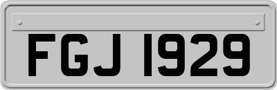 FGJ1929