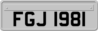 FGJ1981