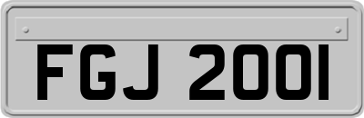 FGJ2001