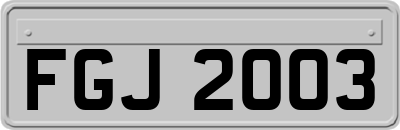 FGJ2003