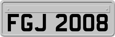 FGJ2008