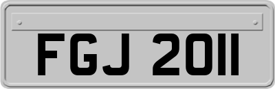 FGJ2011