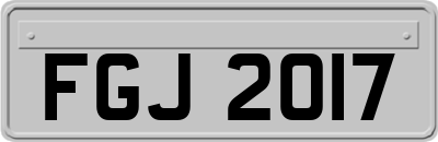FGJ2017