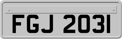 FGJ2031