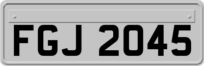 FGJ2045