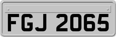 FGJ2065