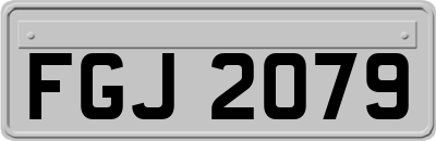 FGJ2079