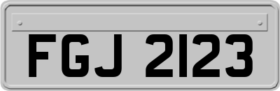 FGJ2123