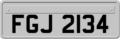 FGJ2134