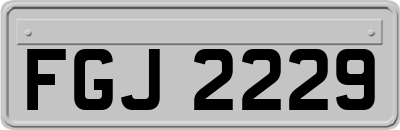 FGJ2229