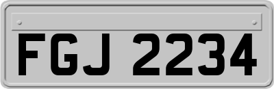 FGJ2234