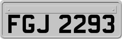 FGJ2293