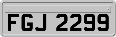 FGJ2299