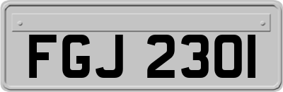 FGJ2301