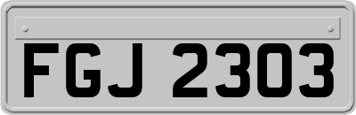 FGJ2303