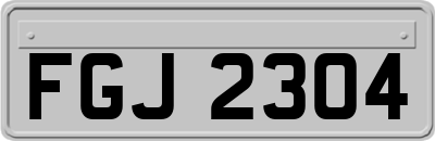 FGJ2304