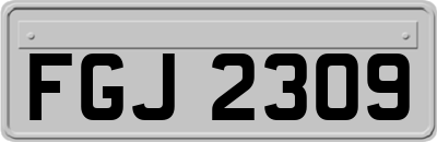 FGJ2309