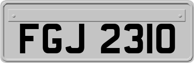 FGJ2310