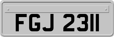 FGJ2311