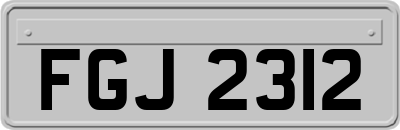 FGJ2312