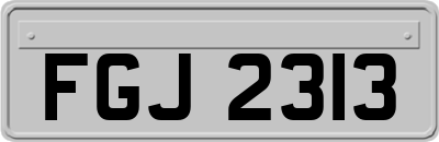 FGJ2313