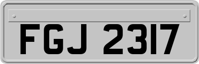 FGJ2317