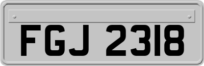 FGJ2318