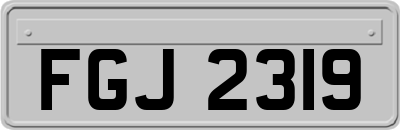 FGJ2319