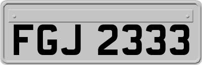 FGJ2333