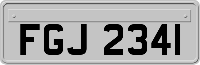 FGJ2341