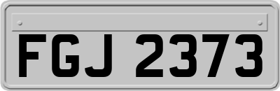 FGJ2373