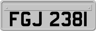 FGJ2381