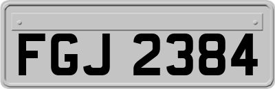 FGJ2384