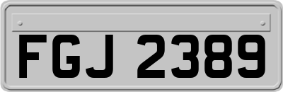 FGJ2389