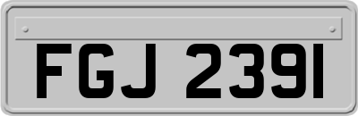 FGJ2391