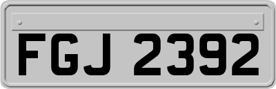 FGJ2392