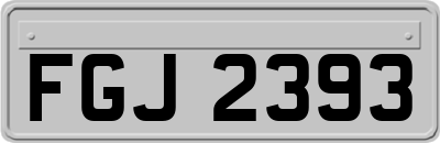 FGJ2393