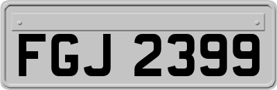 FGJ2399
