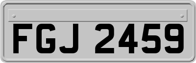 FGJ2459