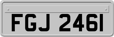FGJ2461