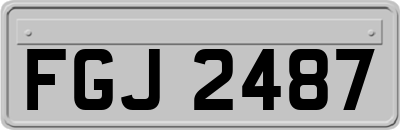 FGJ2487