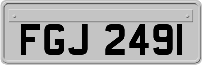 FGJ2491