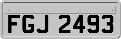 FGJ2493