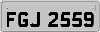 FGJ2559