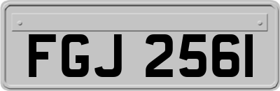FGJ2561