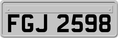 FGJ2598