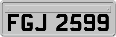 FGJ2599