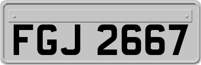 FGJ2667